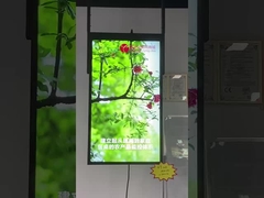 پنجره نمایش